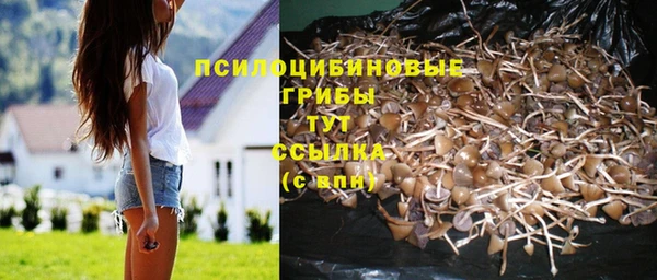 кокаин Алексин