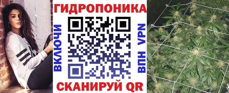 Конопля OG Kush  Нижняя Салда 